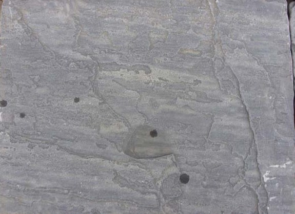 High quality and low price Black Sandstone Natural, Honed, Flamed Sagar Black Sandstone paving